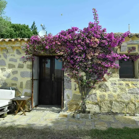Πανσιόν Lu Pastruccialeddu 4*