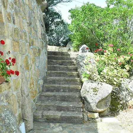 Lu Pastruccialeddu 아르자케나