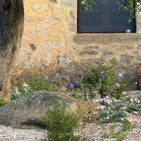 Lu Pastruccialeddu 4*