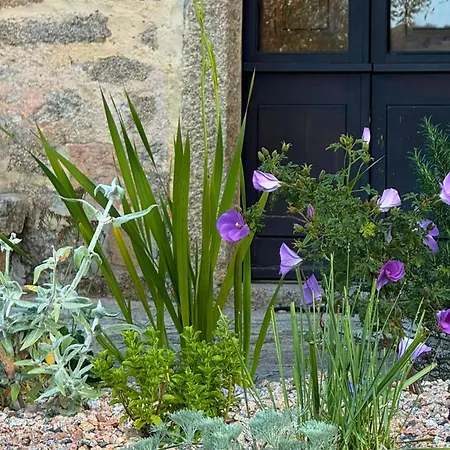 Lu Pastruccialeddu 4* Arzachena