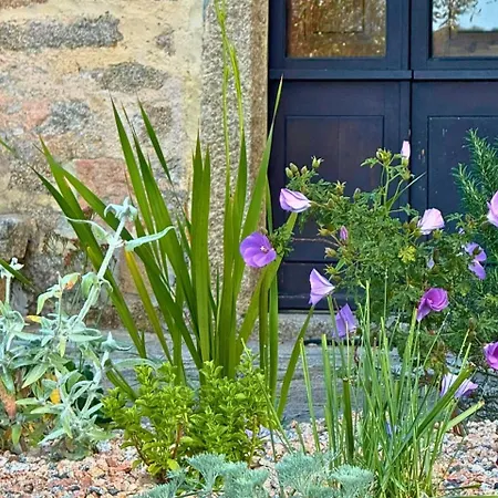 Lu Pastruccialeddu Arzachena