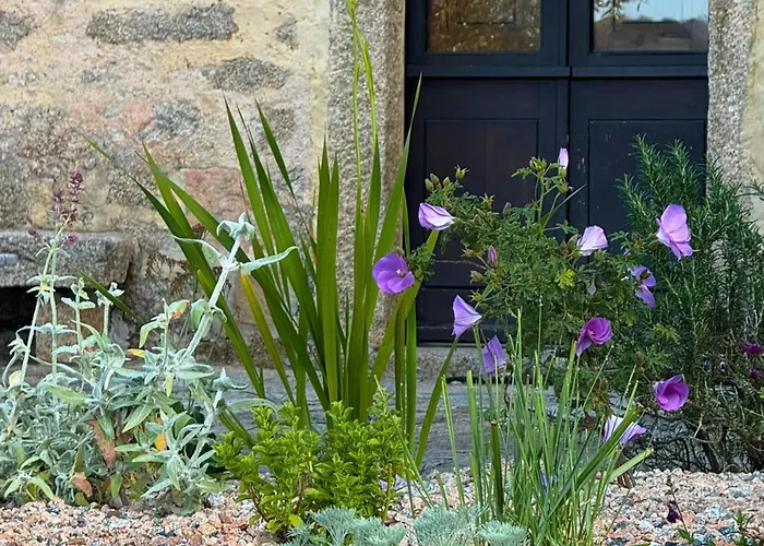 Lu Pastruccialeddu 4* Arzachena