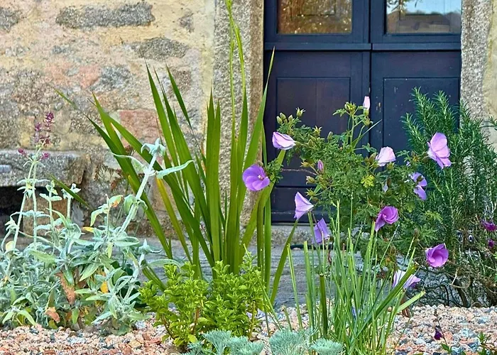 Lu Pastruccialeddu Arzachena